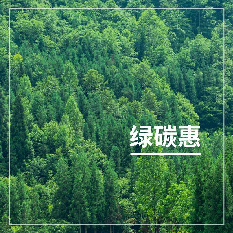 绿碳惠