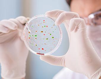 微生物测试及研究