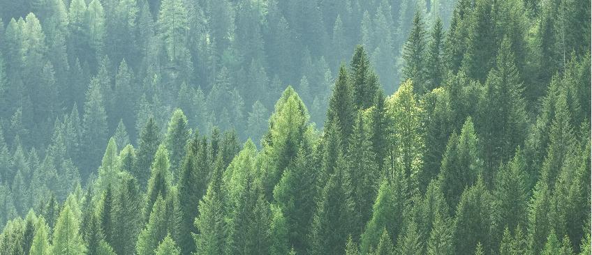 温室气体核算与管理培训