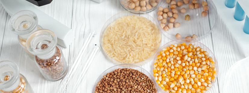 转基因成分检测