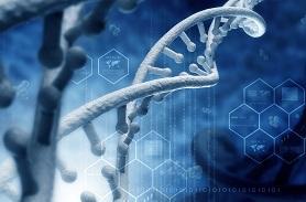 化学品染色体畸变试验