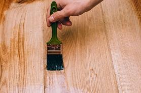 漆膜耐霉菌试验