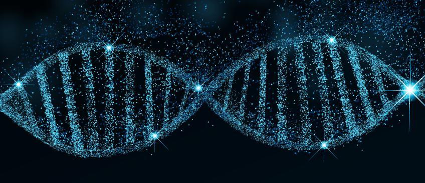 球囊扩张导管注册检测