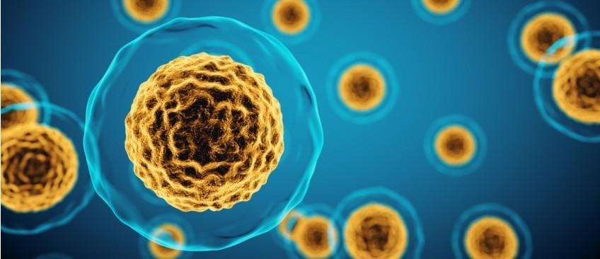 ELISPOT平台免疫分析